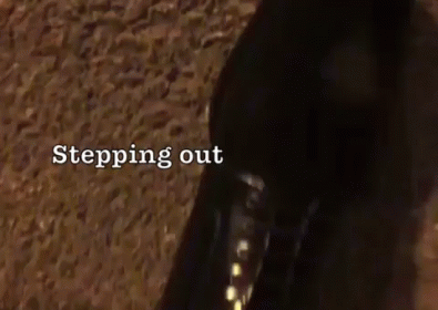 Ready  GIF - Stepping Out Shoes GIFs