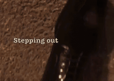 a close up of a person 's foot with the words stepping out written above it .