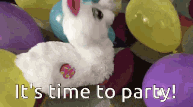 Party Party Time GIF - Party Party Time Partying GIFs