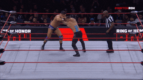 Ethan Page Ring Of Honor GIF - Ethan Page Ring Of Honor Anthony Henry GIFs
