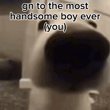 Gn Handsome GIF - Gn Handsome Boy GIFs