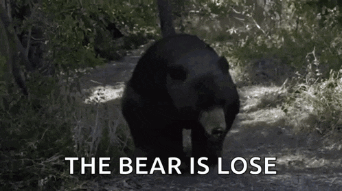 a black bear is walking through a forest with the words `` the bear is lose '' written below it .