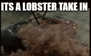 Lobster Meme GIF - Lobster Meme Jpeso GIFs