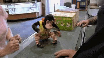 a stuffed monkey is standing on a counter in front of a box that says ' squirrel ' on it .