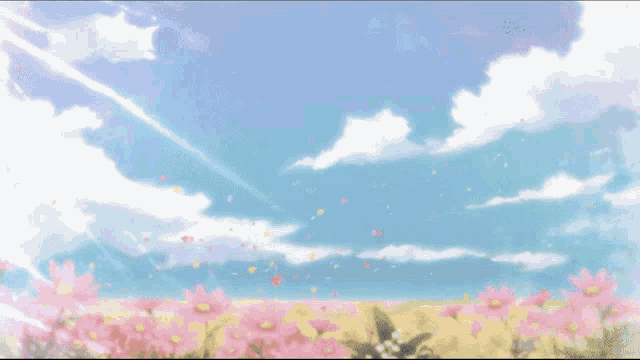 a person standing in a field of pink flowers