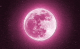 a pink full moon is rising in the night sky .