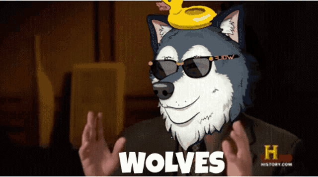 a cartoon wolf wearing sunglasses and a yellow rubber duck on its head says wolves