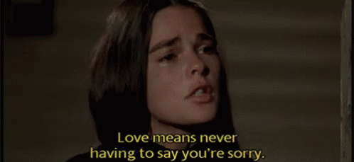 Love Means Never Having To Say You'Re Sorry GIF - Love Story Sorry Love GIFs