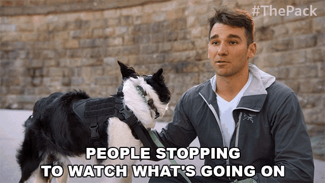 People Stopping To Watch Whats Going On The Pack GIF - People Stopping To Watch Whats Going On The Pack Curious People GIFs