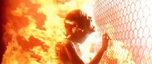 Fuego Terminator GIF - Fuego Terminator GIFs
