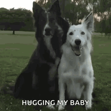 Dog Hug GIF - Dog Hug Bff GIFs