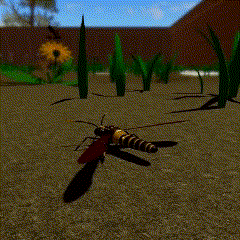 a spider is crawling on the ground in a garden