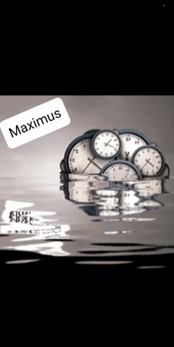 a bunch of clocks are floating in the water and the word maximus is on the bottom right