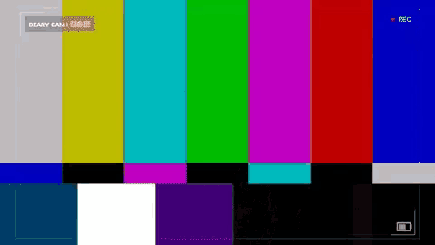 a diary cam is being recorded on a screen