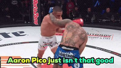 aaron pico just isn 't that good is written above a fighter