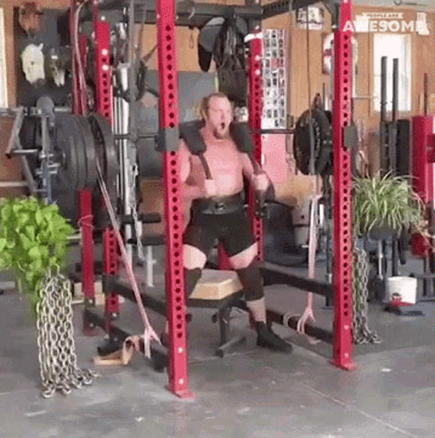 Weightlifting Strong GIF - Weightlifting Strong Muscles GIFs