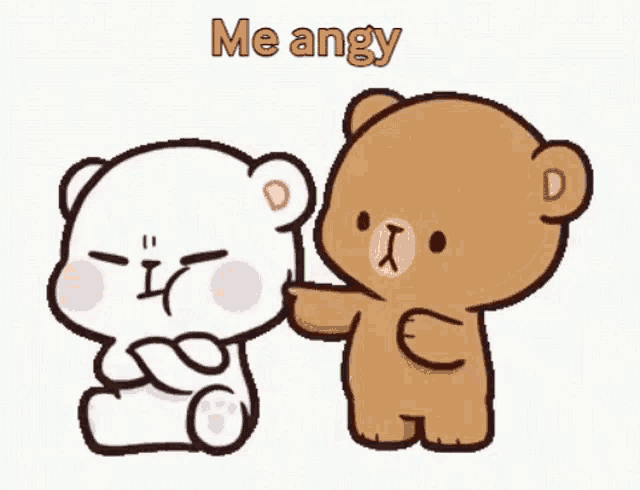a couple of teddy bears standing next to each other with the words me angy on top