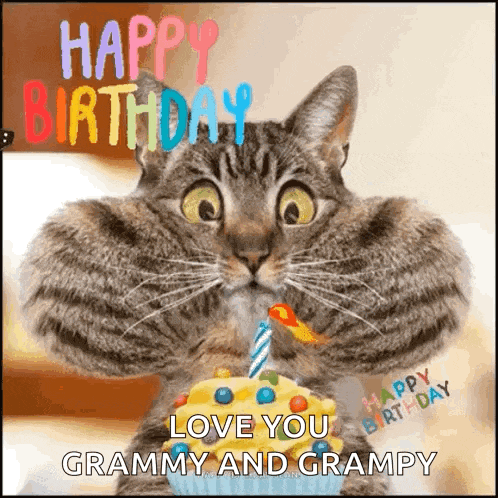 a cat is holding a cupcake with a candle and says happy birthday love you grammy and grampy