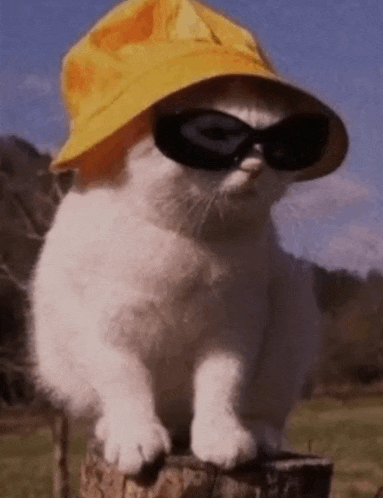 a white cat wearing a yellow hat and sunglasses is sitting on a post .