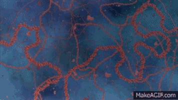 a computer generated image of a red and blue molecule on a blue background .