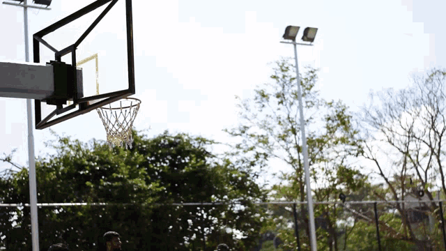 a basketball hoop is surrounded by trees and a fence