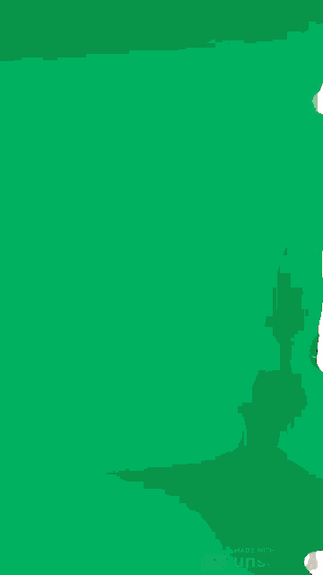 a person standing in front of a green wall with a white background