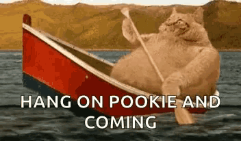 a cat is rowing a boat in the water with the words hang on pookie and coming .