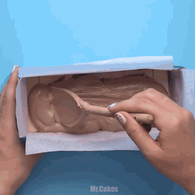 a person is holding a loaf of chocolate cake in a box with the words mr.cakes on the bottom