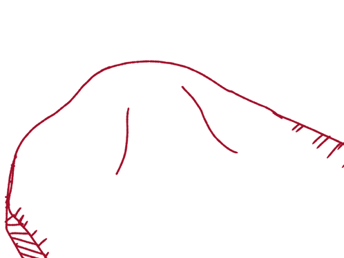 a drawing of a cat laying on a bed with a red blanket