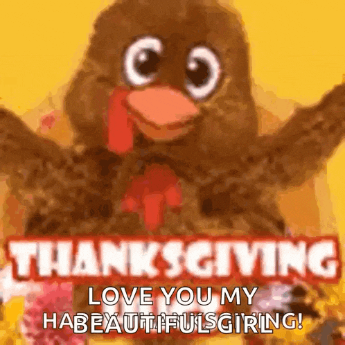 a picture of a stuffed turkey saying thanksgiving love you my beautiful girl .
