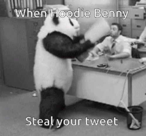 Hoodie Benny Benny GIF - Hoodie Benny Benny Panda GIFs