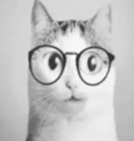a close up of a cat wearing glasses in a black and white photo .