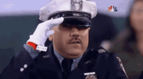 Soldier Salut GIF - Soldier Salut Salute GIFs
