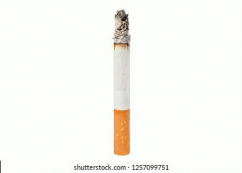 Cigarette GIF - Cigarette GIFs