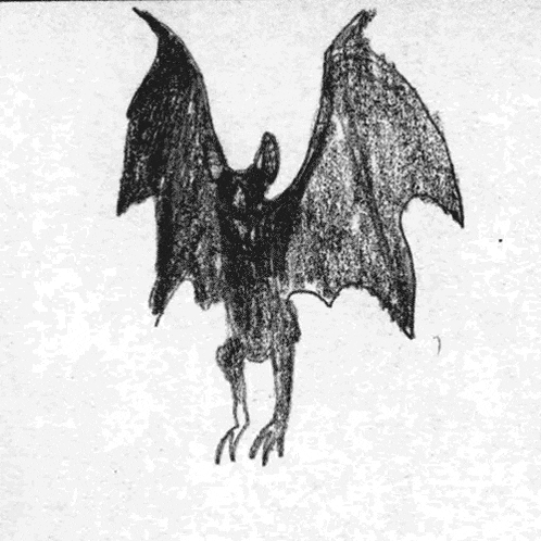a black and white drawing of a bat with the letters i and j below it