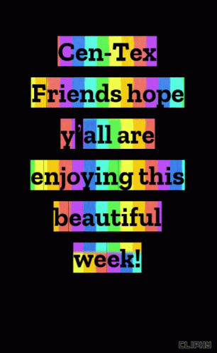 B50 Friends Hope Y All Are Enjoying This Beautiful Week GIF - B50 Friends Hope Y All Are Enjoying This Beautiful Week GIFs