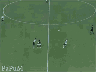 a group of soccer players are playing on a field with papum written on the bottom right
