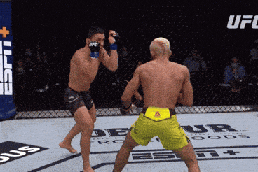 two men are fighting in a ufc ring with a espn banner in the background