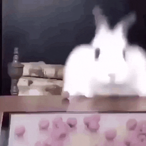 a white rabbit is standing on top of a table with a bunch of marshmallows .