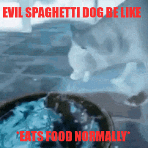 Dog Evil GIF - Dog Evil Discord GIFs