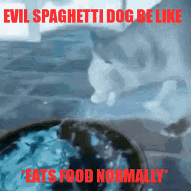 a picture of an evil spaghetti dog be like