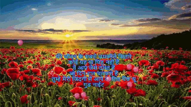 a field of red flowers with the sun shining through the clouds in the background