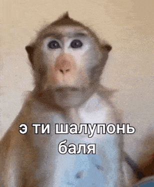 a close up of a monkey with a caption in a foreign language