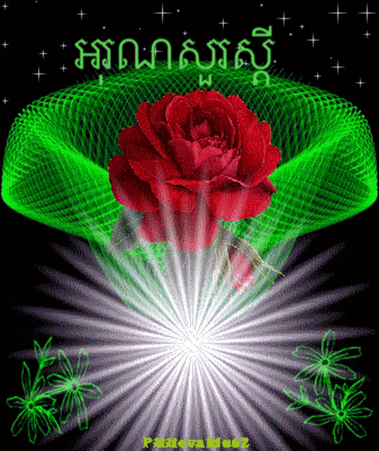 a red rose is surrounded by green and white rays and a green background with a foreign language written on it