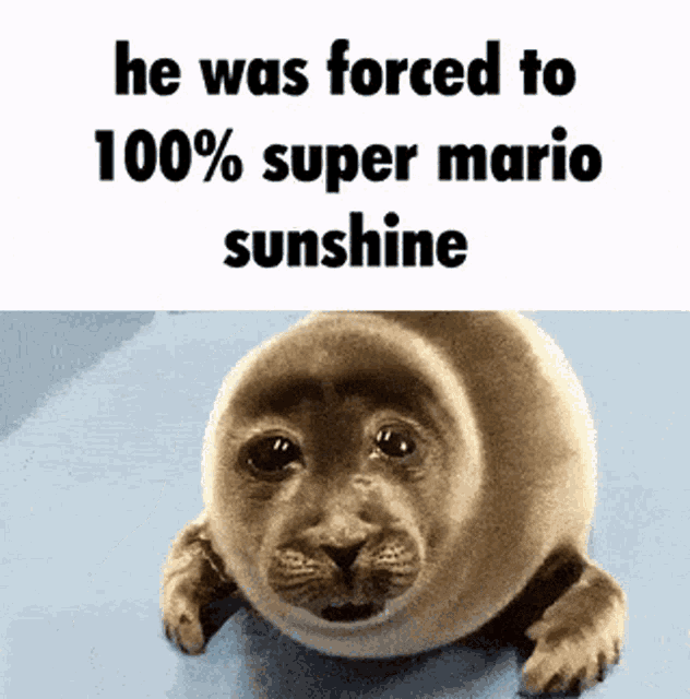 a baby seal with a caption that says `` he was forced to 100 % super mario sunshine ''