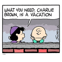 a cartoon of charlie brown and lucy brown talking about what they need