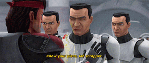 Star Wars Clone Trooper GIF - Star Wars Clone Trooper Know Your Place GIFs
