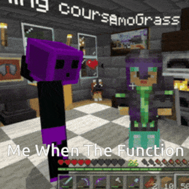 a screenshot of a video game with the words " me when the function " at the bottom