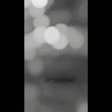 a black and white photo of a blurred background with the word stealthy written on it