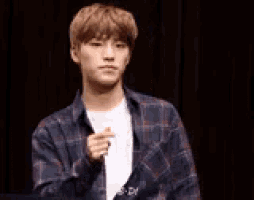 Dino Seventeen GIF